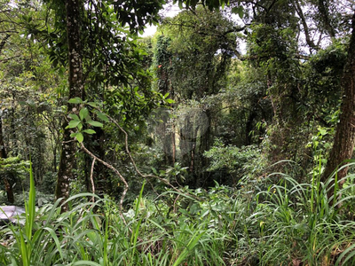 Terreno, 6 hectares - Foto 2