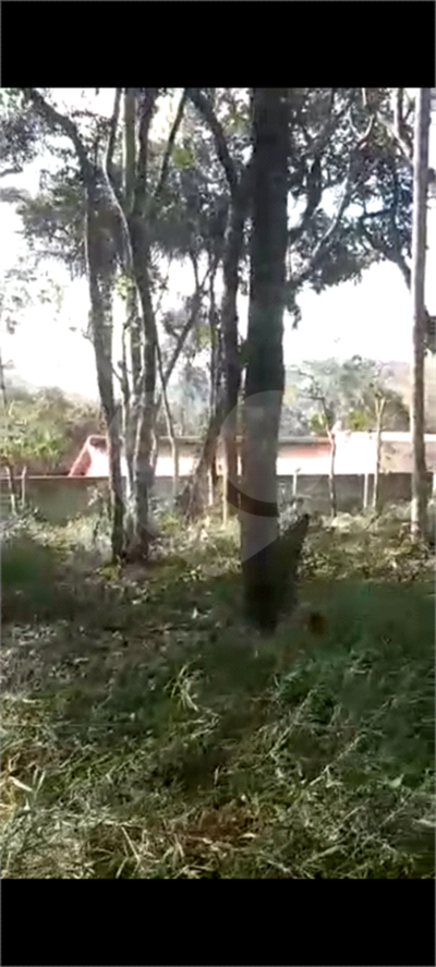 Terreno, 1148 m² - Foto 2