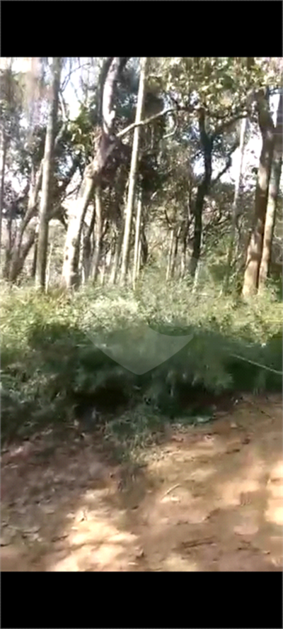 Terreno, 1148 m² - Foto 4