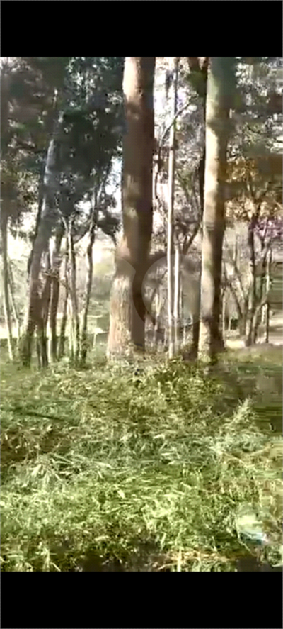 Terreno, 1148 m² - Foto 3