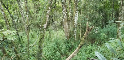 Terreno, 1240 m² - Foto 2