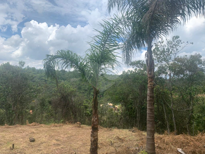 Terreno, 4376 m² - Foto 5