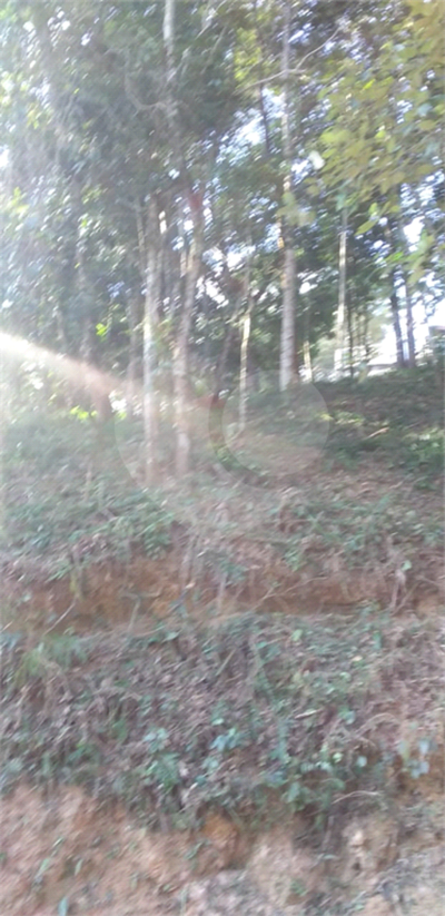 Casa de Condomínio - Foto 1