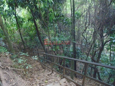 Terreno, 4734 m² - Foto 4