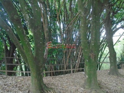 Terreno, 4734 m² - Foto 1