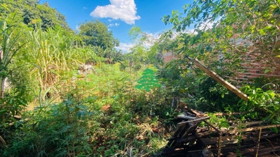 Terreno, 317 m² - Foto 3