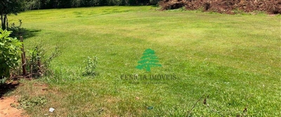 Chácara, 10000 m² - Foto 3