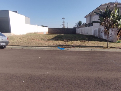 Apartamento - Foto 2