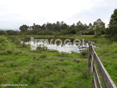 Sítio, 462 hectares - Foto 2