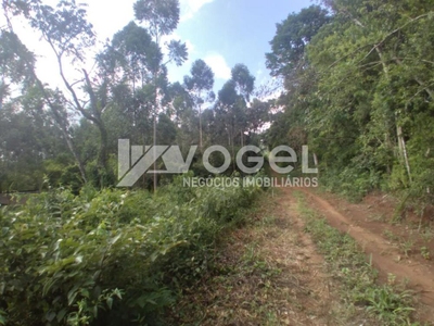 Sítio, 5 m² - Foto 3