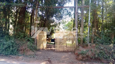 Sítio, 55 m² - Foto 4