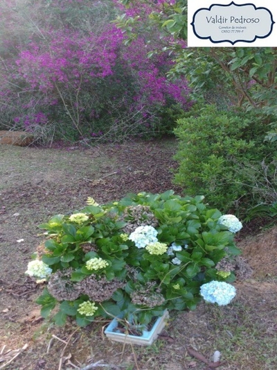 Chácara, 2 quartos, 15 hectares - Foto 4