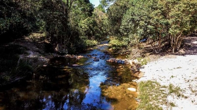 Sítio, 7 quartos, 703 m² - Foto 3