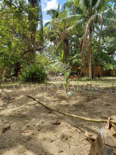 Terreno, 300 m² - Foto 2