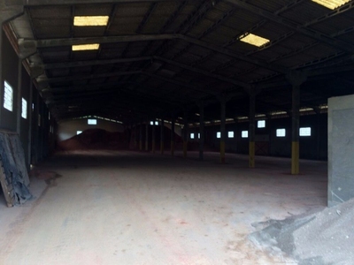 Depósito-Galpão - Foto 4