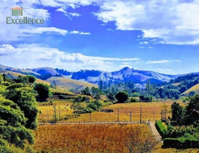 Sítio, 4 quartos, 2 hectares - Foto 5