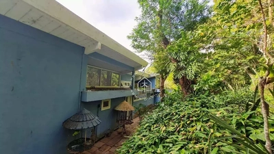 Sítio, 4 quartos, 10000 m² - Foto 3