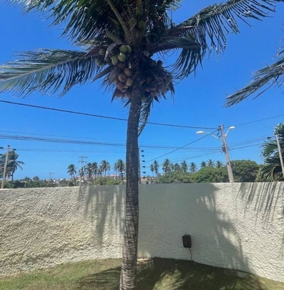 Casa, 6 quartos, 660 m² - Foto 5