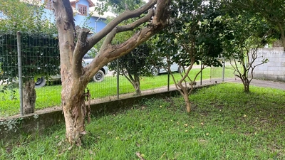 Terreno, 300 m² - Foto 4