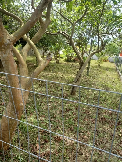 Terreno, 300 m² - Foto 5