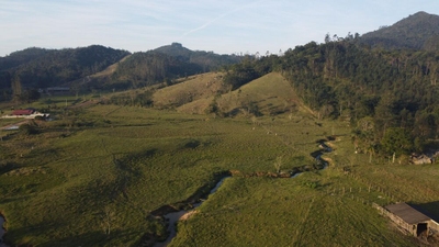 Terreno, 25 hectares - Foto 4