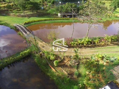 Chácara, 4 quartos, 5 hectares - Foto 4