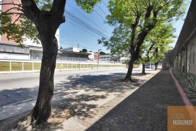 Depósito-Galpão - Foto 5