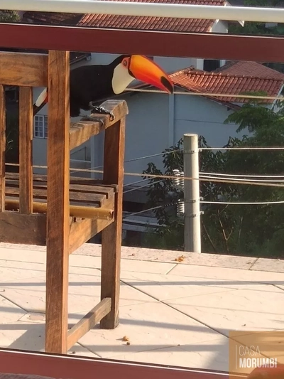 Casa, 5 quartos - Foto 5