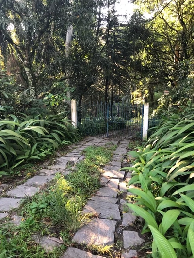 Sítio, 4 quartos, 29250 m² - Foto 5