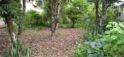 Terreno, 525 m² - Foto 4