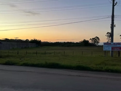 Terreno, 2 hectares - Foto 5