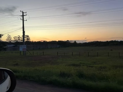 Terreno, 2 hectares - Foto 4