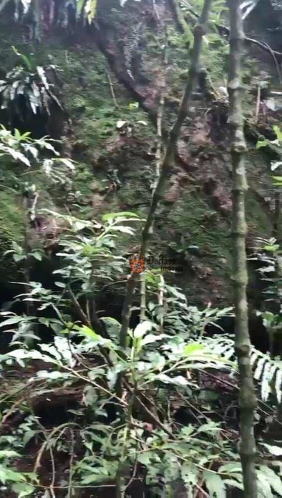 Fazenda-Sítio-Chácara, 69 hectares - Foto 2