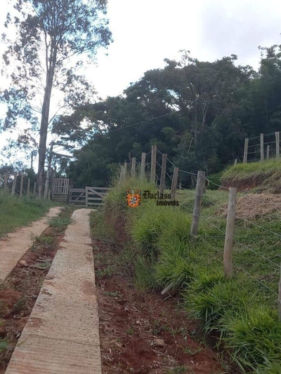 Sítio, 3 quartos, 4 hectares - Foto 3