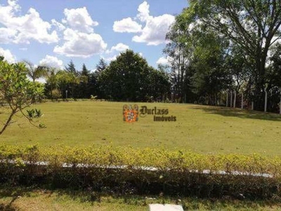 Chácara, 7 quartos, 2 hectares - Foto 2