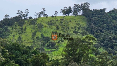 Terreno, 29 hectares - Foto 3