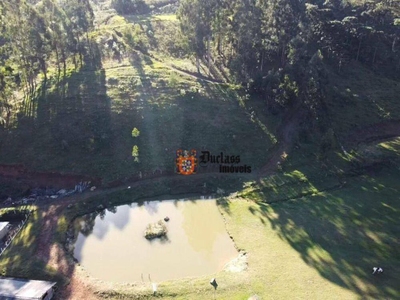 Sítio, 20 hectares - Foto 1