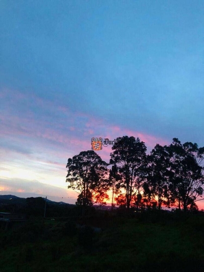 Chácara, 2 quartos, 1500 m² - Foto 4