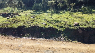 Terreno, 2 hectares - Foto 4