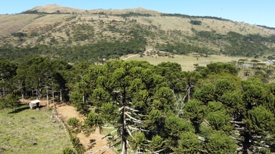 Terreno, 2 hectares - Foto 2