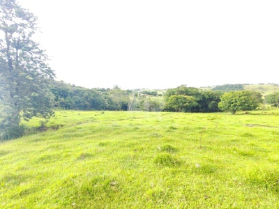 Terreno, 24 hectares - Foto 2