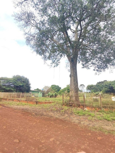 Terreno, 541 m² - Foto 3