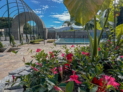 Terreno, 300 m² - Foto 4