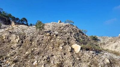 Terreno, 8 hectares - Foto 3