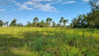 Terreno, 3092 m² - Foto 2