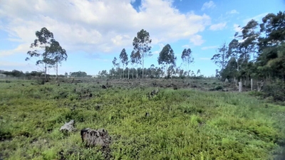 Terreno, 3091 m² - Foto 3