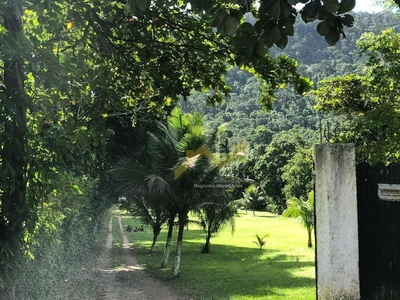 Sítio, 4 quartos, 2 hectares - Foto 3