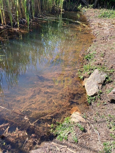 Chácara, 1 quarto, 3000 m² - Foto 2