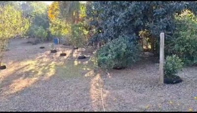 Chácara, 800 m² - Foto 3