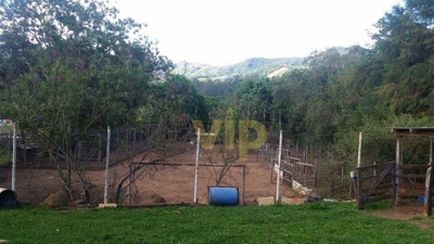 Chácara, 2 quartos, 3000 m² - Foto 2